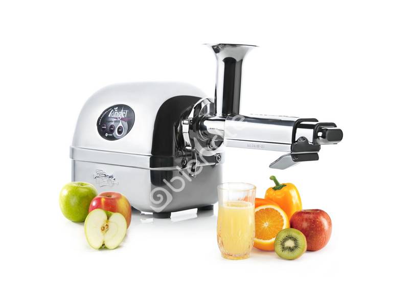 Шнековая соковыжималка Angel Juicer 8500S